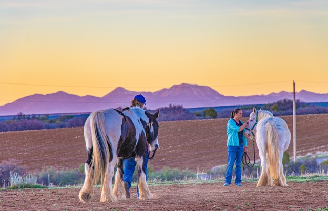 Colorado high desert